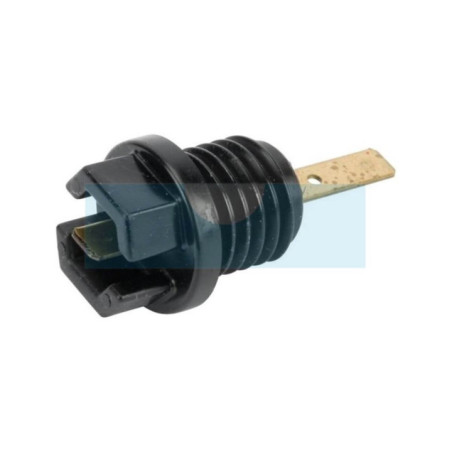 Bouchon d'huile pour moteur Briggs & Stratton (699947)