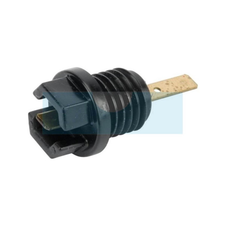 Bouchon d'huile pour moteur Briggs & Stratton (699947)