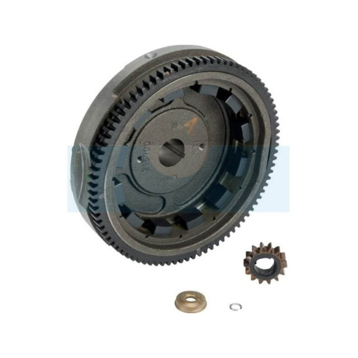 Volent magnétique pour moteur Briggs & Stratton (591759)