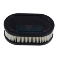 Filtre à air pour moteur Briggs & Stratton (798452)