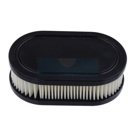Filtre à air pour moteur Briggs & Stratton (798452)