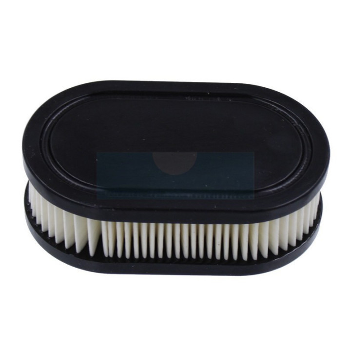 Filtre à air pour moteur Briggs & Stratton (798452)