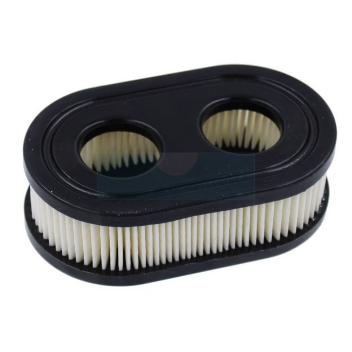 Filtre à air pour moteur Briggs & Stratton (798452)