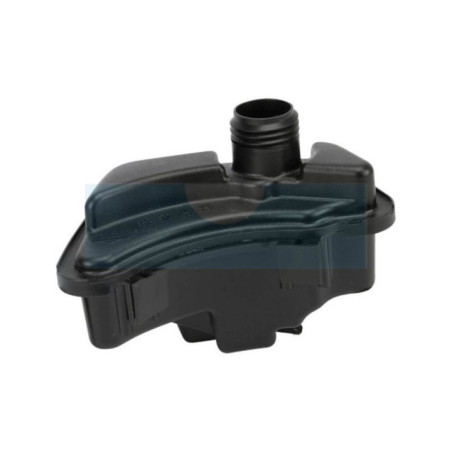 Réservoir à carburant pour moteur Briggs & Stratton (591947)