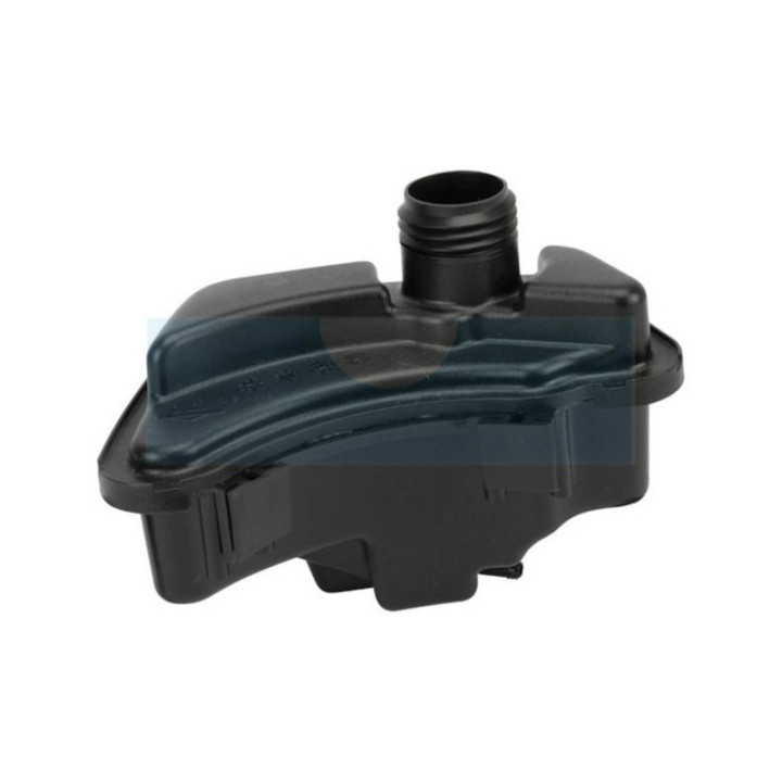 Réservoir à carburant pour moteur Briggs & Stratton (591947)