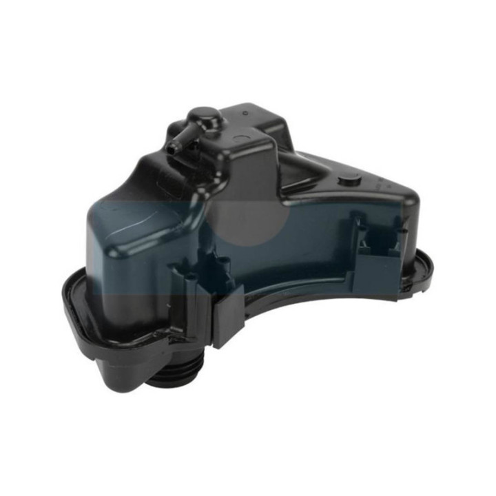 Réservoir à carburant pour moteur Briggs & Stratton (591947)