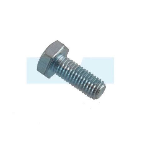Vis pour tondeuse Etesia (70086)