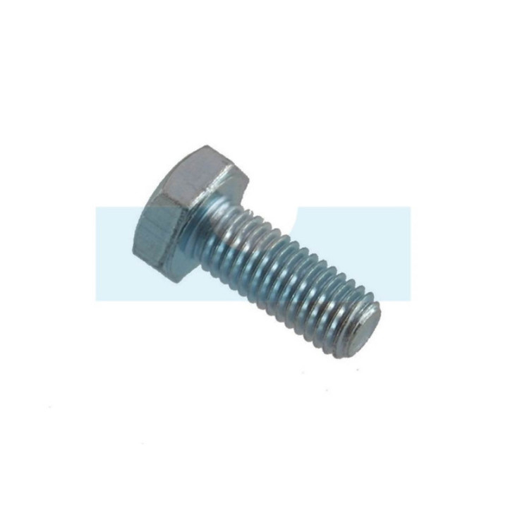 Vis pour tondeuse Etesia (70086)