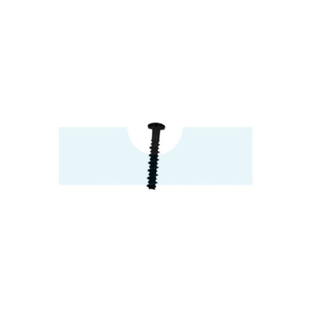 Vis pour Briggs & Stratton (691138)