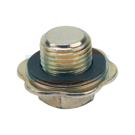 Bouchon de vidange d'huile pour moteur Briggs & Stratton (825278)