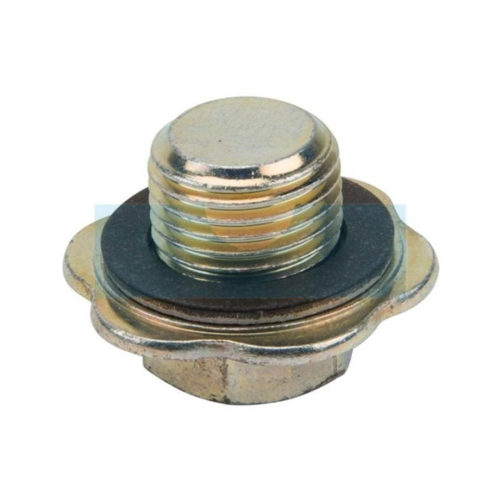 Bouchon de vidange d'huile pour moteur Briggs & Stratton (825278)