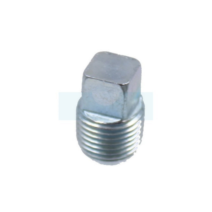 Bouchon de vidange d'huile pour moteur Briggs & Stratton (794903)
