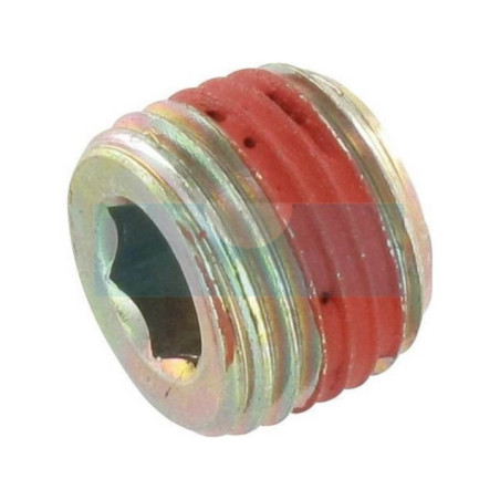 Bouchon de vidange d'huile pour moteur Briggs & Stratton (690343)
