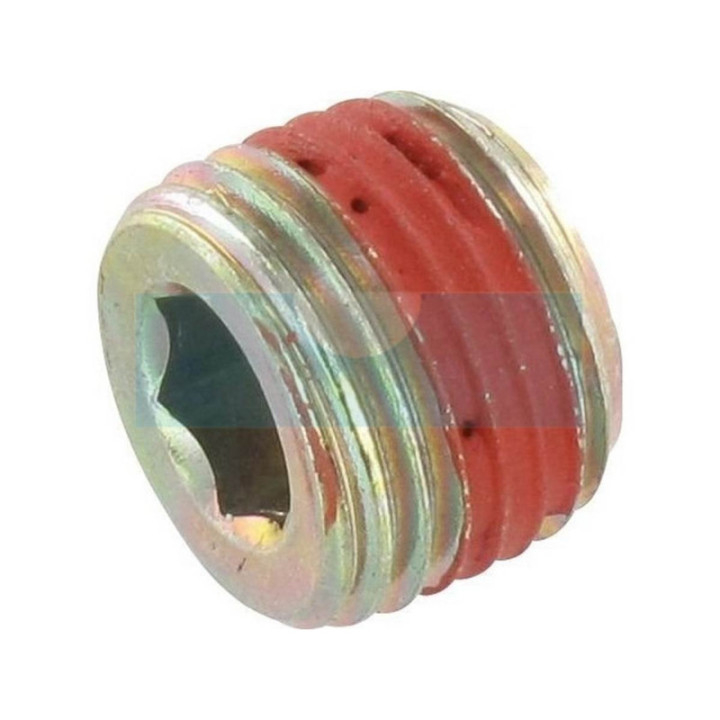 Bouchon de vidange d'huile pour moteur Briggs & Stratton (690343)