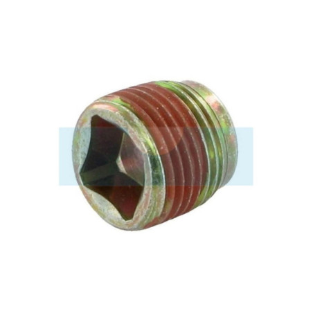 Bouchon de vidange d'huile pour moteur Briggs & Stratton (715000)
