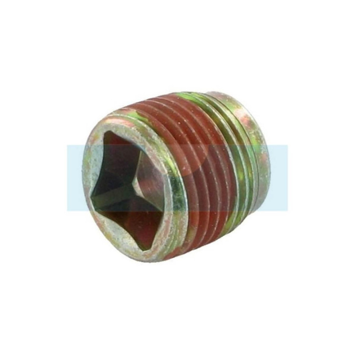 Bouchon de vidange d'huile pour moteur Briggs & Stratton (715000)
