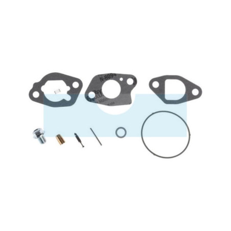 Kit réparation de carburateur pour moteur Briggs & Stratton (591770)