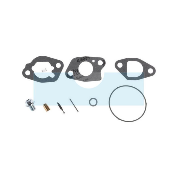 Kit réparation de carburateur pour moteur Briggs & Stratton (591770)