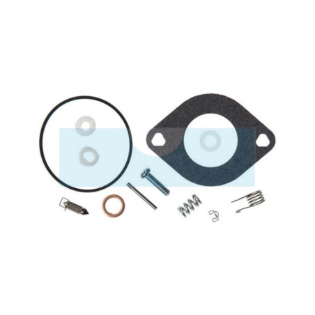 Kit réparation de carburateur pour moteur Briggs & Stratton (594886)