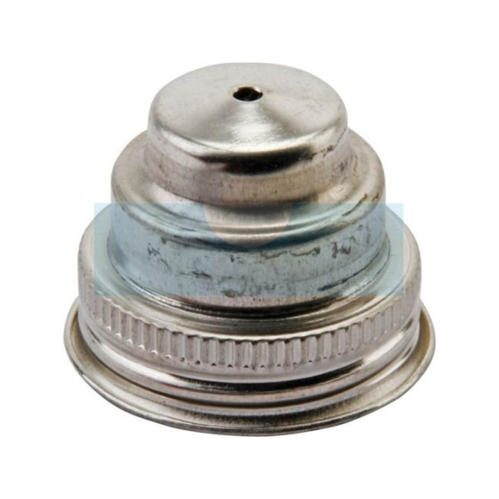 Bouchon d'essence pour moteur Briggs & Stratton (394818S)