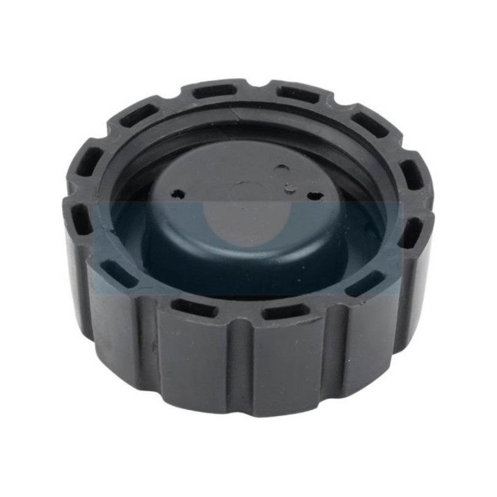 Bouchon de réservoir pour tracteur tondeuse Alko (544600)