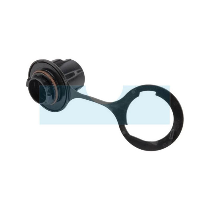 Bouchon d'essence pour moteur Briggs & Stratton (795472)