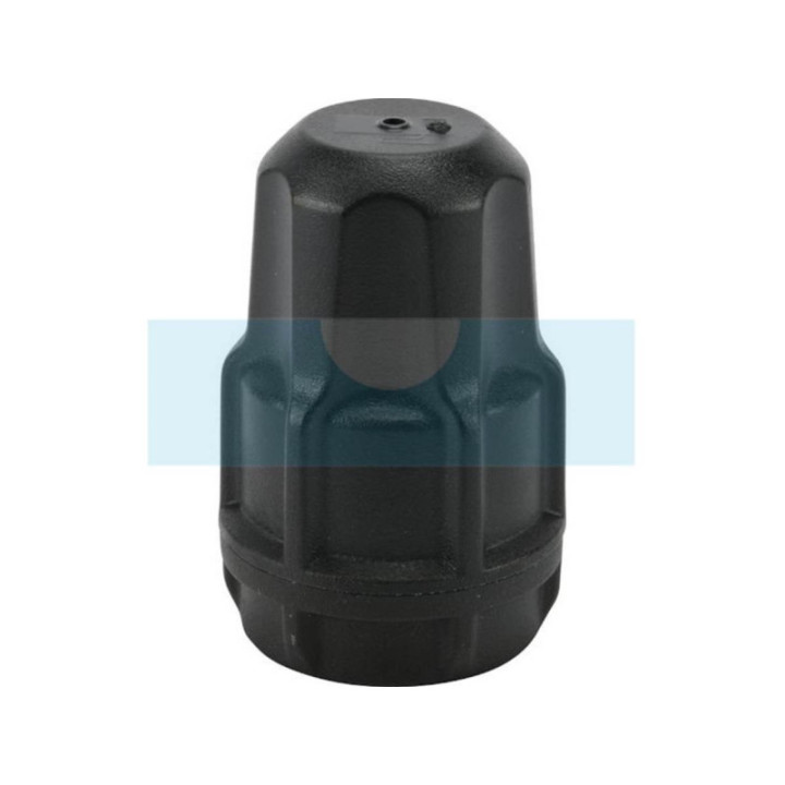 Bouchon d'essence pour moteur Briggs & Stratton (792878)