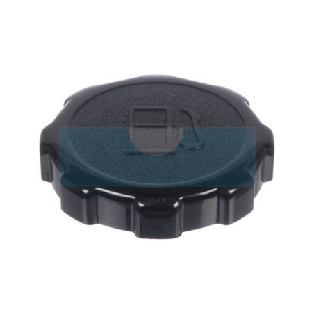 Bouchon d'essence pour moteur Briggs & Stratton (699840)