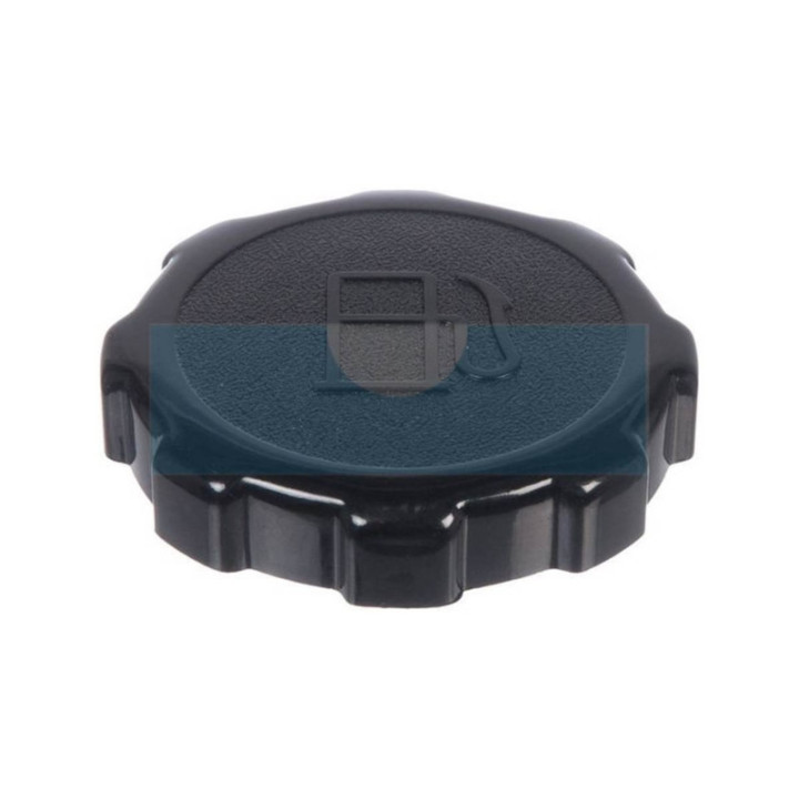 Bouchon d'essence pour moteur Briggs & Stratton (699840)