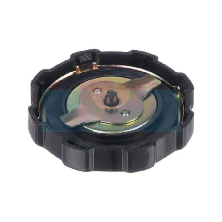 Bouchon d'essence pour moteur Briggs & Stratton (699840)