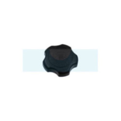Bouchon d'essence pour moteur Briggs & Stratton (846987)