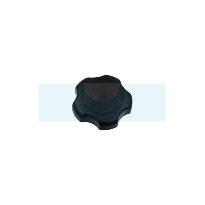 Bouchon d'essence pour moteur Briggs & Stratton (846987)