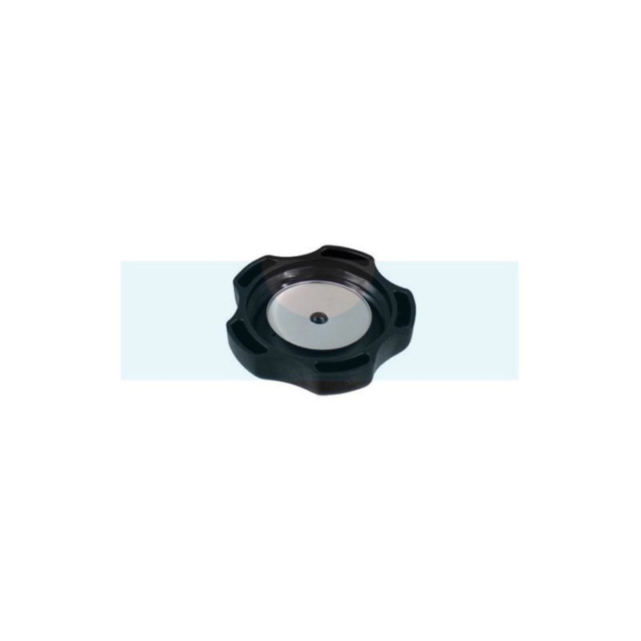 Bouchon d'essence pour moteur Briggs & Stratton (846987)
