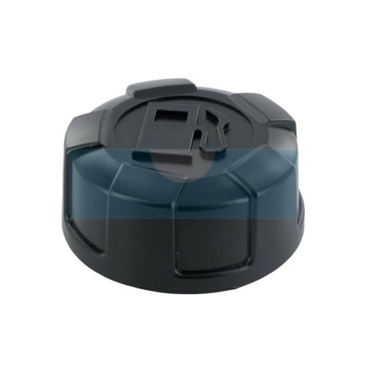 Bouchon d'essence pour moteur Briggs & Stratton (711215)