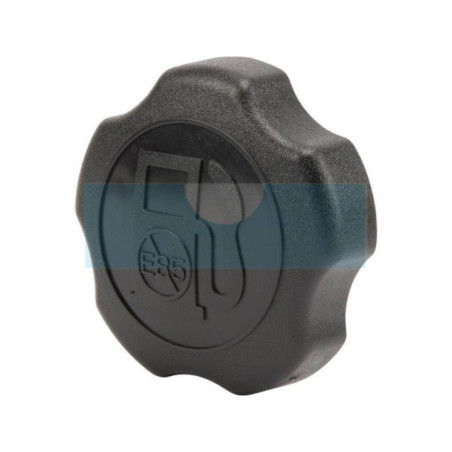 Bouchon d'essence pour moteur Briggs & Stratton (596472)