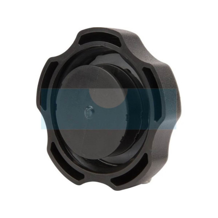 Bouchon d'essence pour moteur Briggs & Stratton (596472)