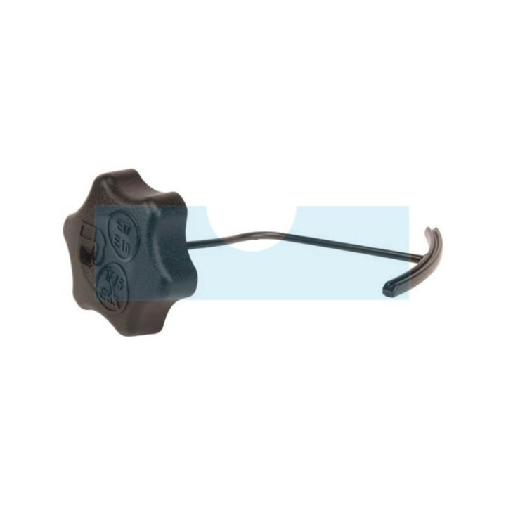 Bouchon d'essence pour moteur Briggs & Stratton (596250)