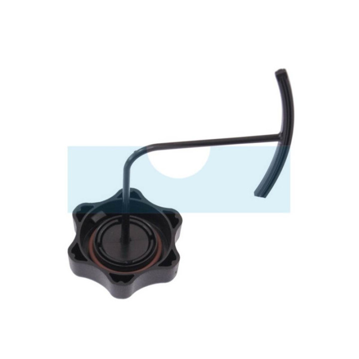 Bouchon d'essence pour moteur Briggs & Stratton (596250)