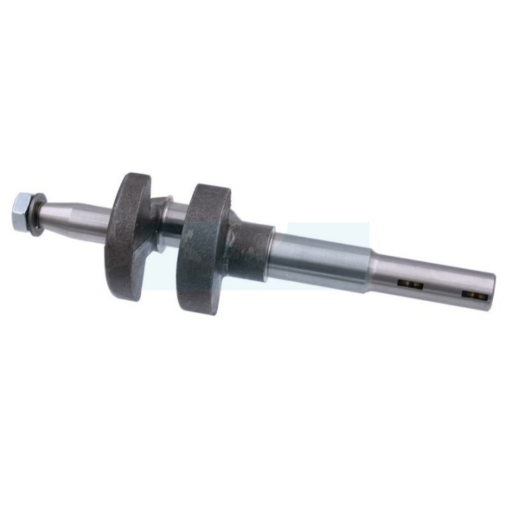 Vilebrequin pour moteur Briggs & Stratton (793615)