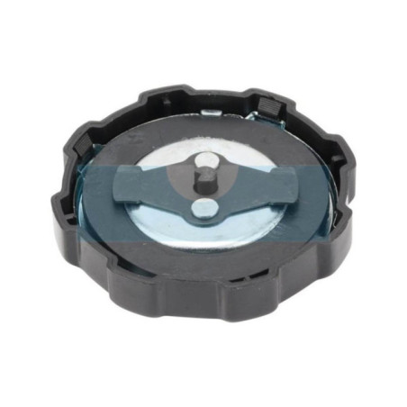 Bouchon d'essence pour moteur Briggs & Stratton (794641)