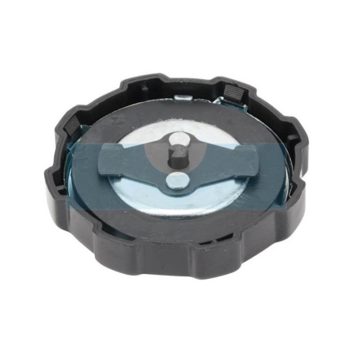 Bouchon d'essence pour moteur Briggs & Stratton (794641)