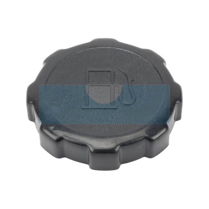 Bouchon d'essence pour moteur Briggs & Stratton (794641)