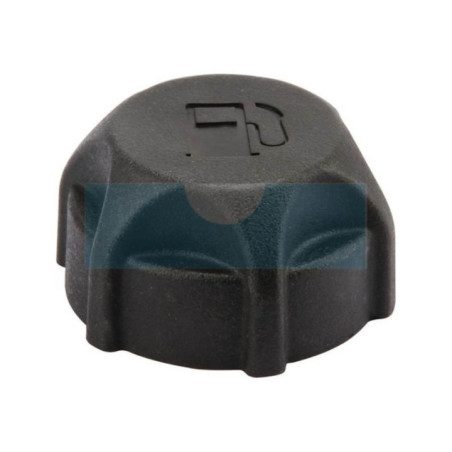 Bouchon d'essence pour moteur Briggs & Stratton (791129)