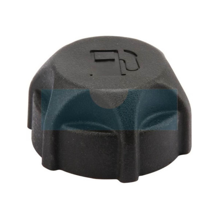 Bouchon d'essence pour moteur Briggs & Stratton (791129)