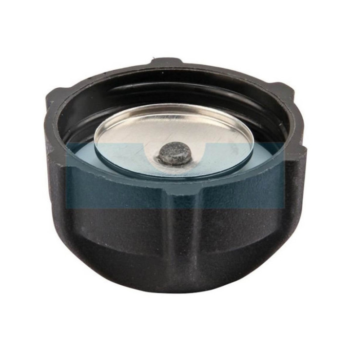 Bouchon d'essence pour moteur Briggs & Stratton (791129)