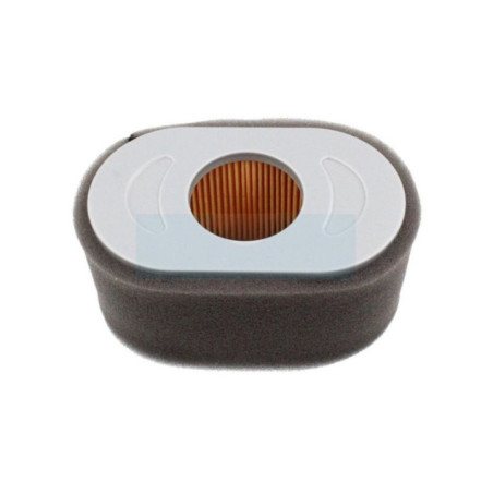 Filtre à air pour moteur Briggs & Stratton (797033)