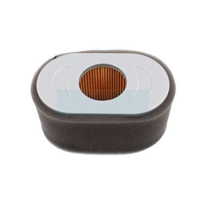 Filtre à air pour moteur Briggs & Stratton (797033)