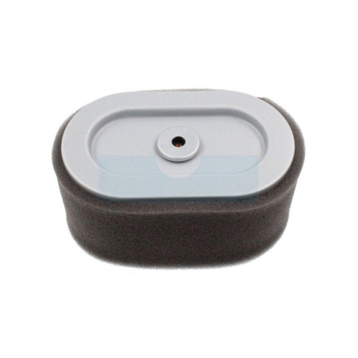Filtre à air pour moteur Briggs & Stratton (797033)