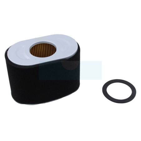 Filtre à air pour moteur Briggs & Stratton (797032)