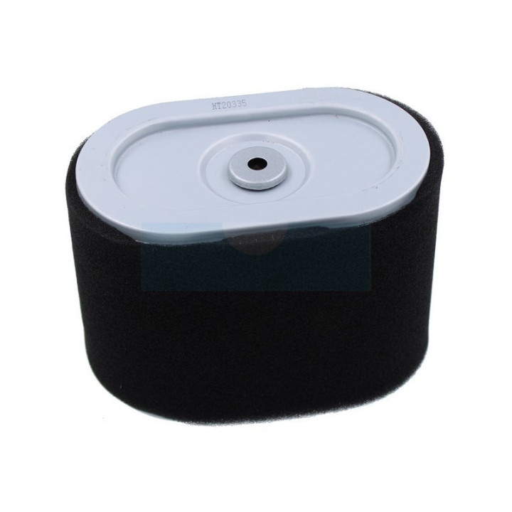 Filtre à air pour moteur Briggs & Stratton (797032)